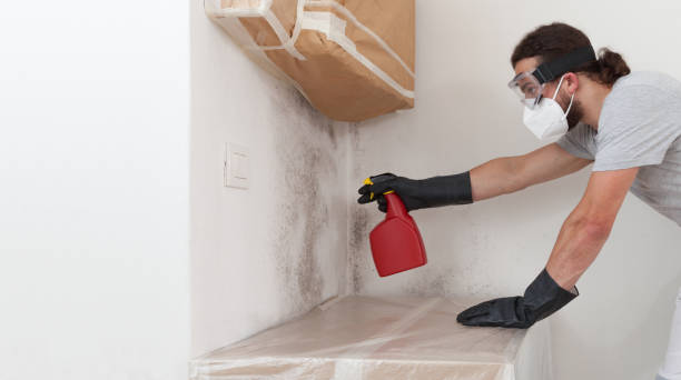 Professional Mold Testing technician working in Lowell, MA