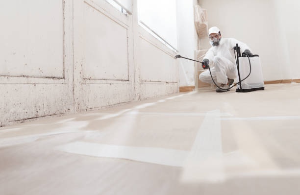 24/7 Emergency Mold Testing experts in Lowell, MA