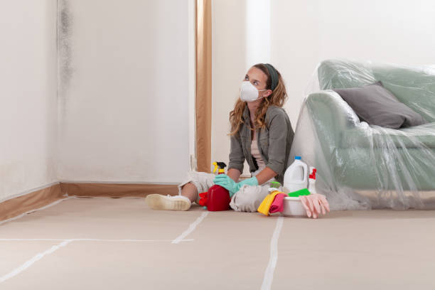 Reliable Mold Testing contractor in Lowell, MA by WQB Mold Removal